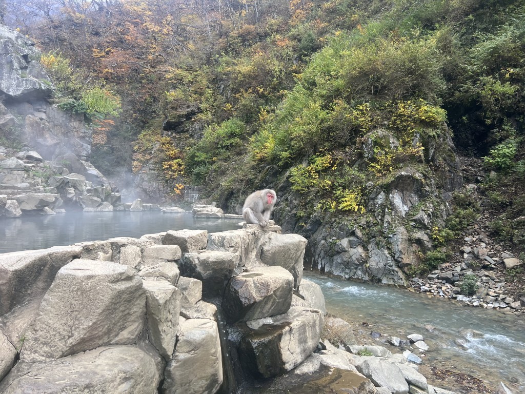 Entre Nagano, Kanazawa et Takayama : les Alpes&nbsp;Japonaises